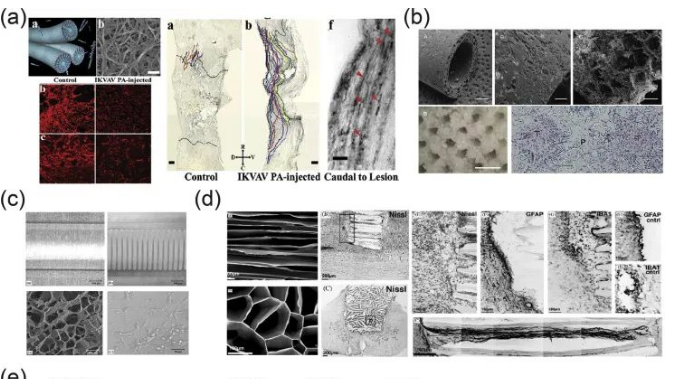 神經(jīng)再生膠原支架（獨步吾奇）
